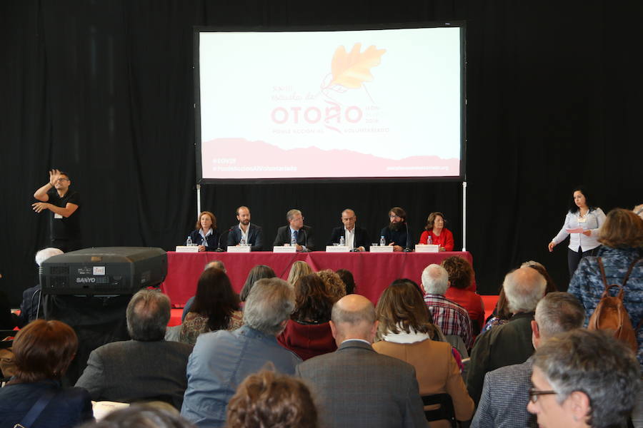 Fotos: León cita al voluntariado nacional en la XXXIII Escuela de Otoño