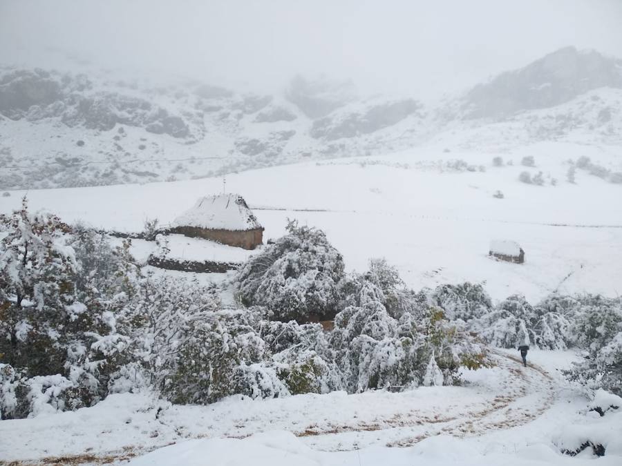 Fotos: La nieve complica la circulación de Pajares, el Huerna y Somiedo