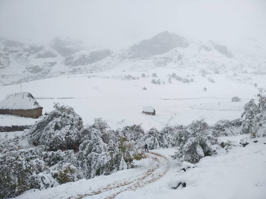 Fotos: La nieve complica la circulación de Pajares, el Huerna y Somiedo