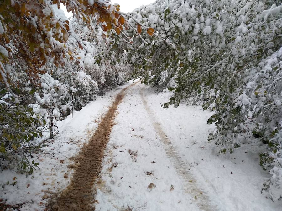 Fotos: La nieve complica la circulación de Pajares, el Huerna y Somiedo