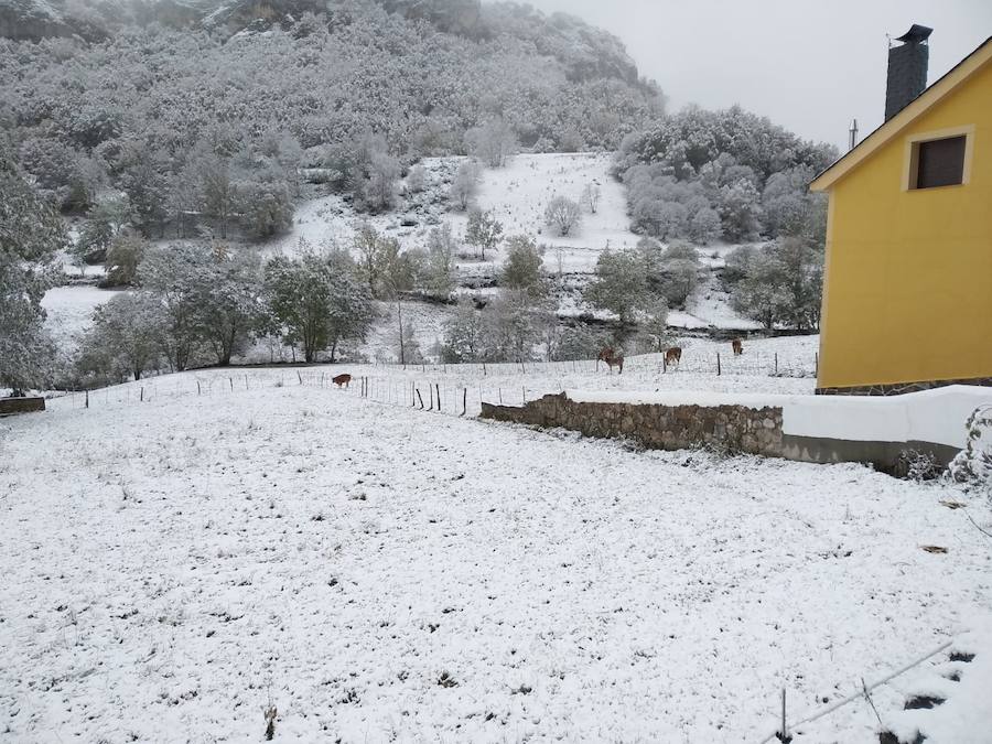 Fotos: La nieve complica la circulación de Pajares, el Huerna y Somiedo