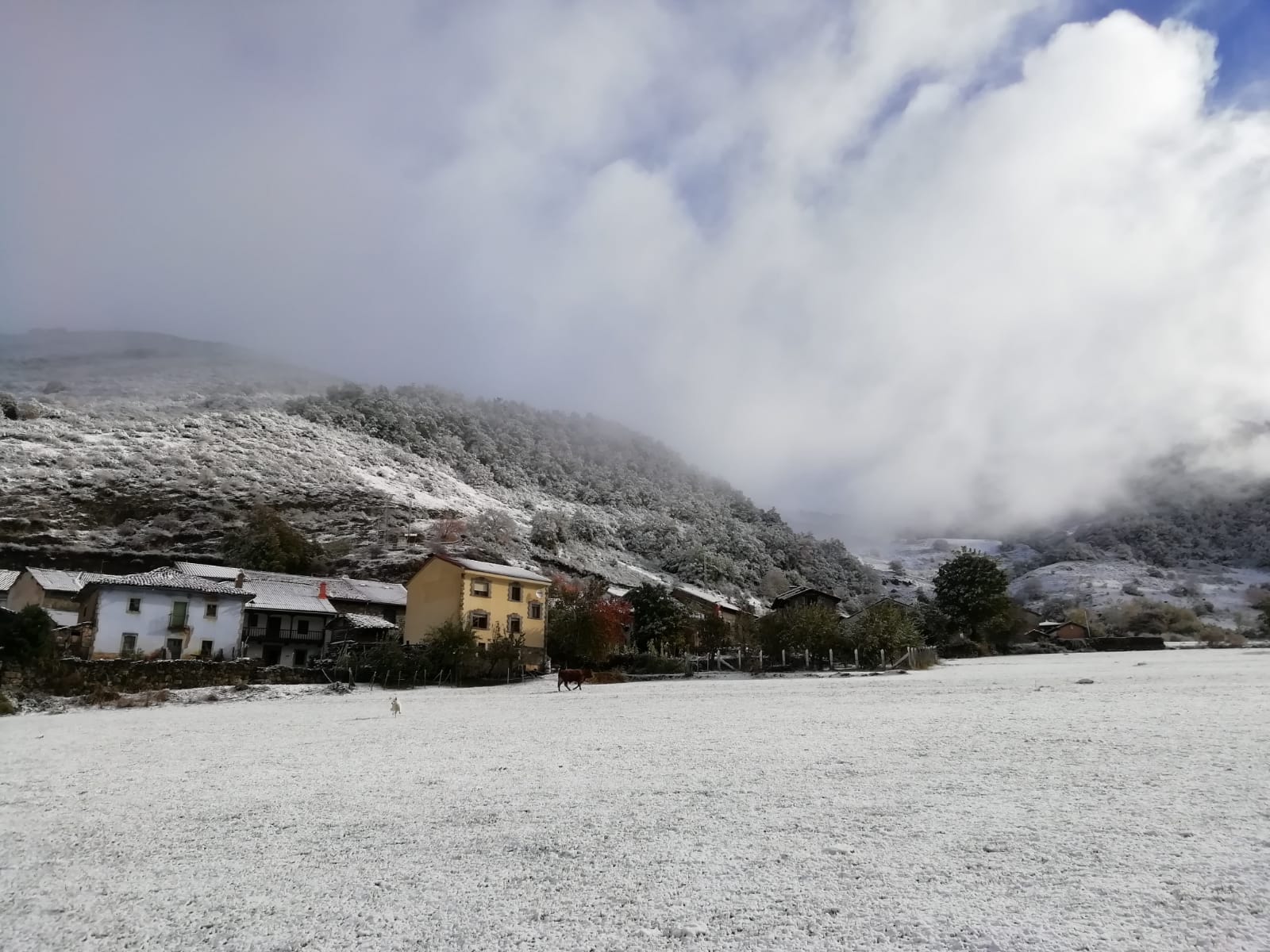 El pueblo más alto del Parque Nacional de los Picos de Europa amanece este sábado cubierto por la nieve, que deja una bella estampa