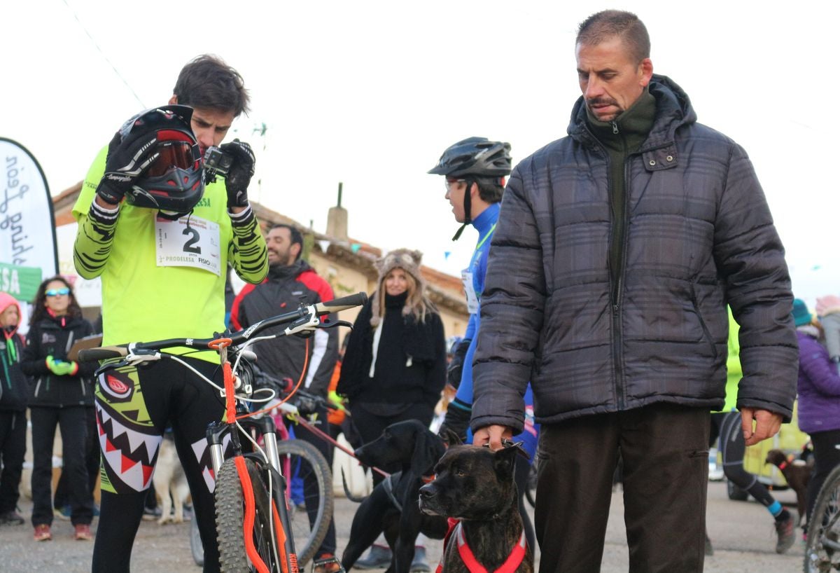 Fotos: Valdefresno vive el mushing