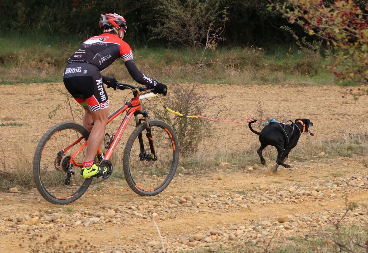 Fotos: Valdefresno vive el mushing