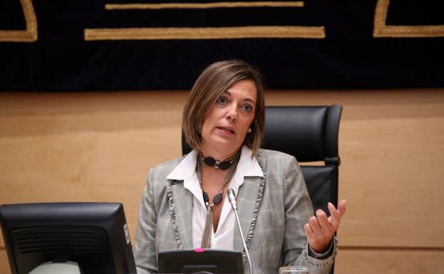 La consejera de Agricultura y portavoz de la Junta, Milagros Marcos, durante la rueda de prensa posterior al Consejo de Gobierno de Castilla y León.