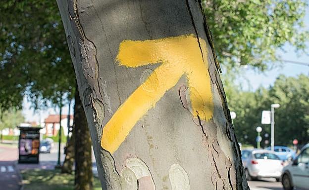 León acoge la próxima semana las XIX Jornadas Jacobeas 2018