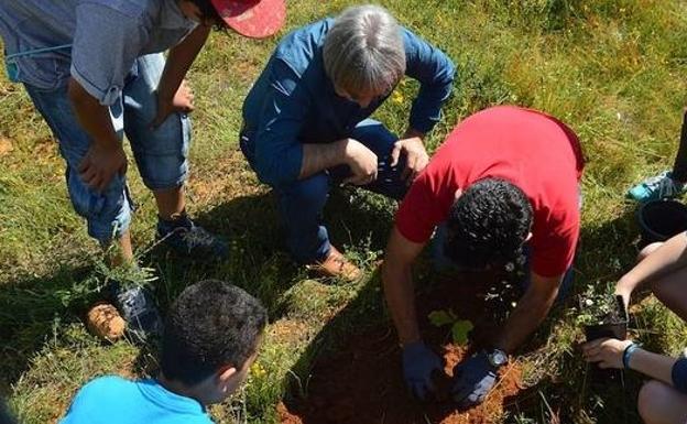 La Diputación repartirá árboles y plantas ornamentales a 49 ayuntamientos y juntas vecinales 