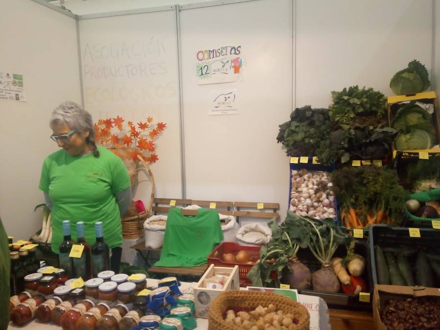 Fotos: Mansilla de las Mulas celebra la feria de San Martín