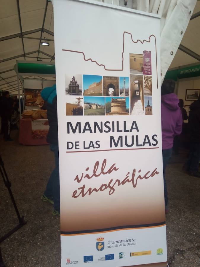Fotos: Mansilla de las Mulas celebra la feria de San Martín