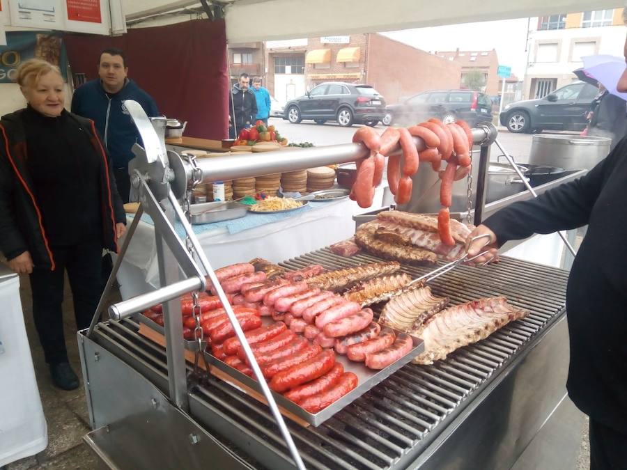Fotos: Mansilla de las Mulas celebra la feria de San Martín