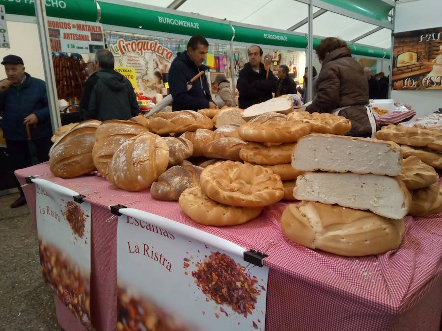 Fotos: Mansilla de las Mulas celebra la feria de San Martín