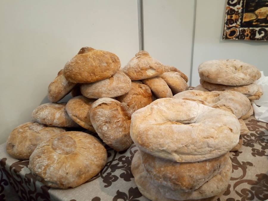 Fotos: Mansilla de las Mulas celebra la feria de San Martín