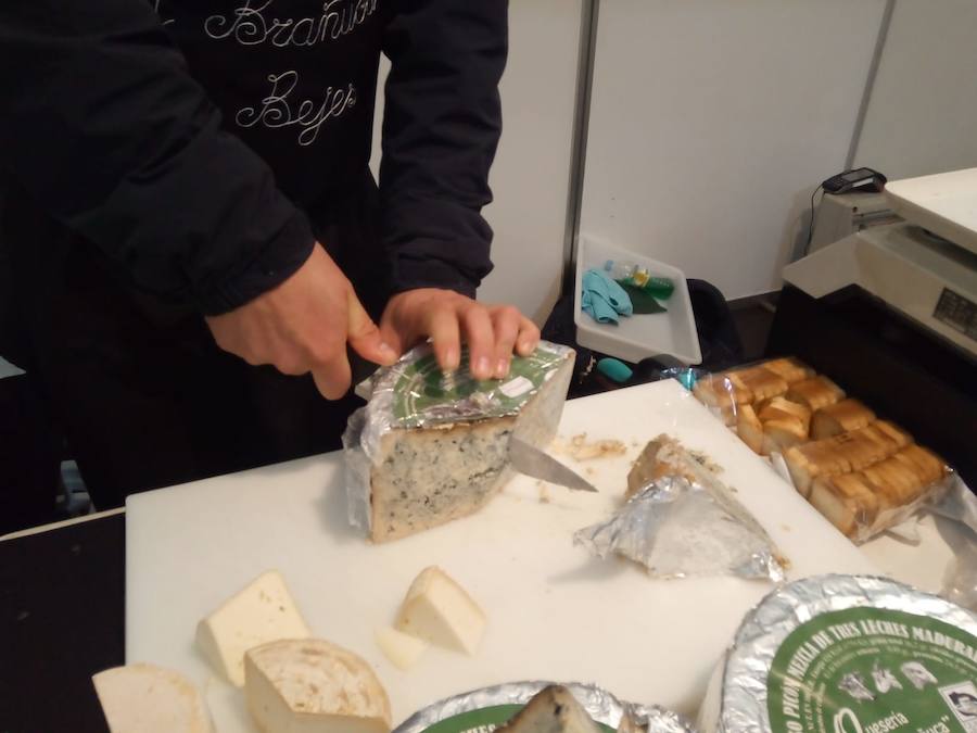 Fotos: Mansilla de las Mulas celebra la feria de San Martín