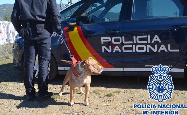 Operativo de búsqueda de la Policía Nacional. 