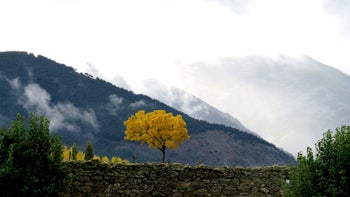 Imagen principal - Fotos ganadoras: 1ª Sierra de Guadarrama 2ª Fuentes Carrionas y Fuente Cobre 3ª Picos de Europa 