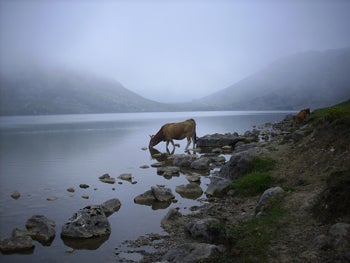 Imagen secundaria 2 - Fotos ganadoras: 1ª Sierra de Guadarrama 2ª Fuentes Carrionas y Fuente Cobre 3ª Picos de Europa 