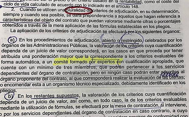 Texto en el que se apoya la actuación municipal. 
