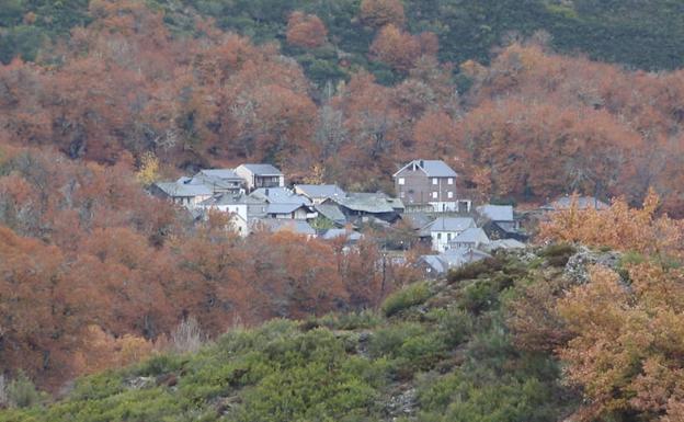 Imagen principal - Arriba, vista de un pueblo entre los frondosos bosques de los Ancares Leoneses; abajo a la izquierda, un plato de botillo; y a la derecha, la zon de los castros, en Chano.