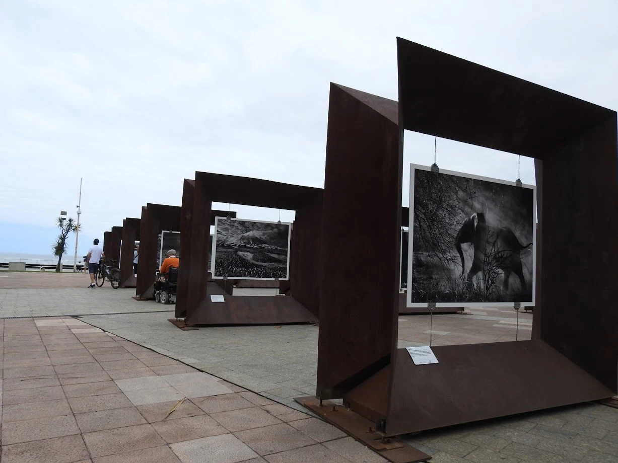 Imágenes de Génesis en la muestra realizada en Gijón