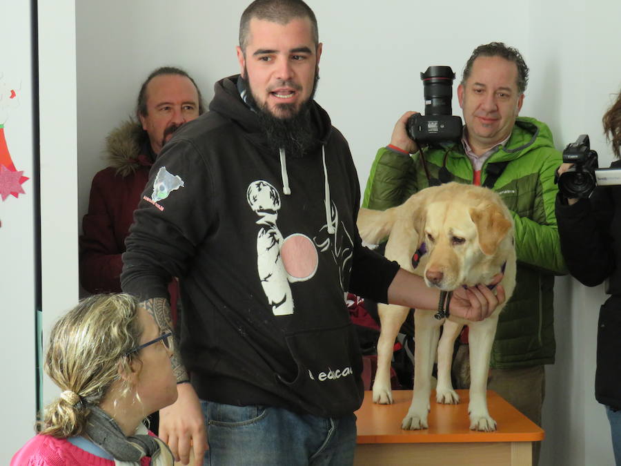 Fotos: Terapia con perros en Alfaem León