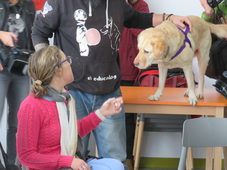 Fotos: Terapia con perros en Alfaem León