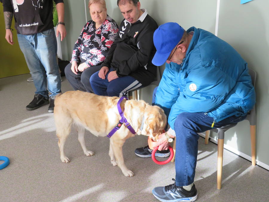 Fotos: Terapia con perros en Alfaem León