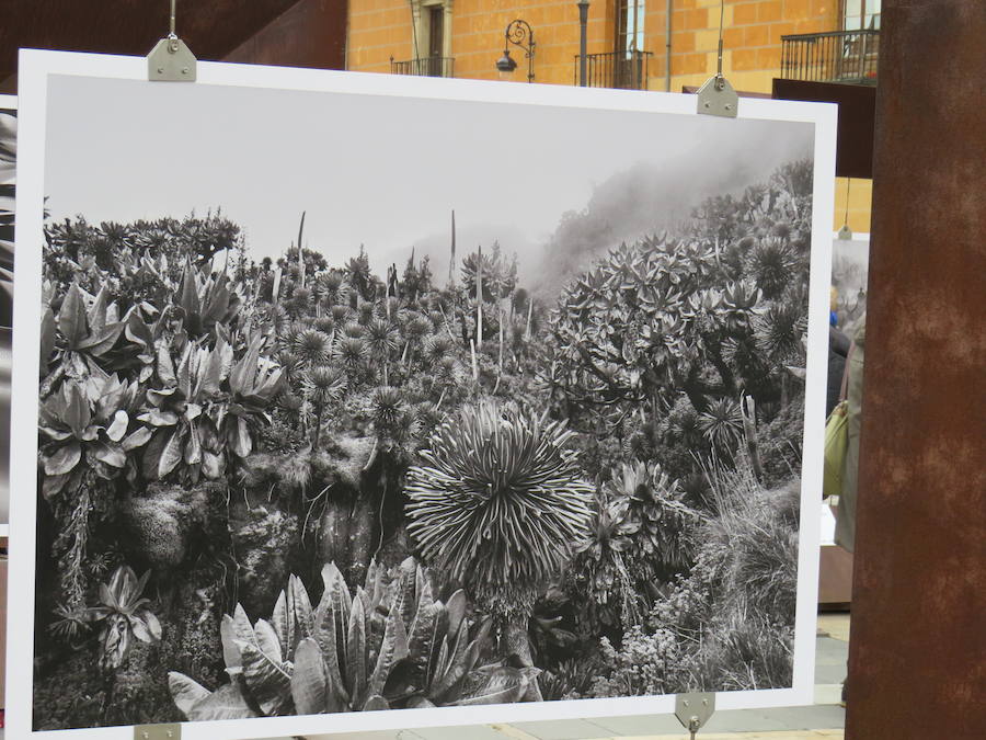 El primer teniente de alcalde, Fernando Salguero, el director de Área de Negocio de CaixaBank en León, Carlos Arruti, y el representante de la obra de Sebastião Salgado en España, Miguel González, inauguran la exposición 'Sebastião Salgado. Génesis. Arte en la calle'.