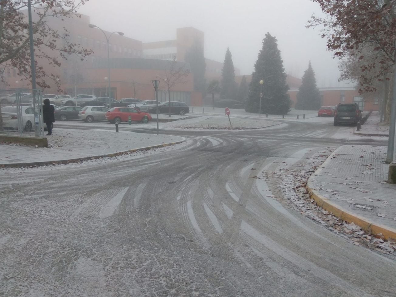 Niebla, frío y helada en el Bierzo