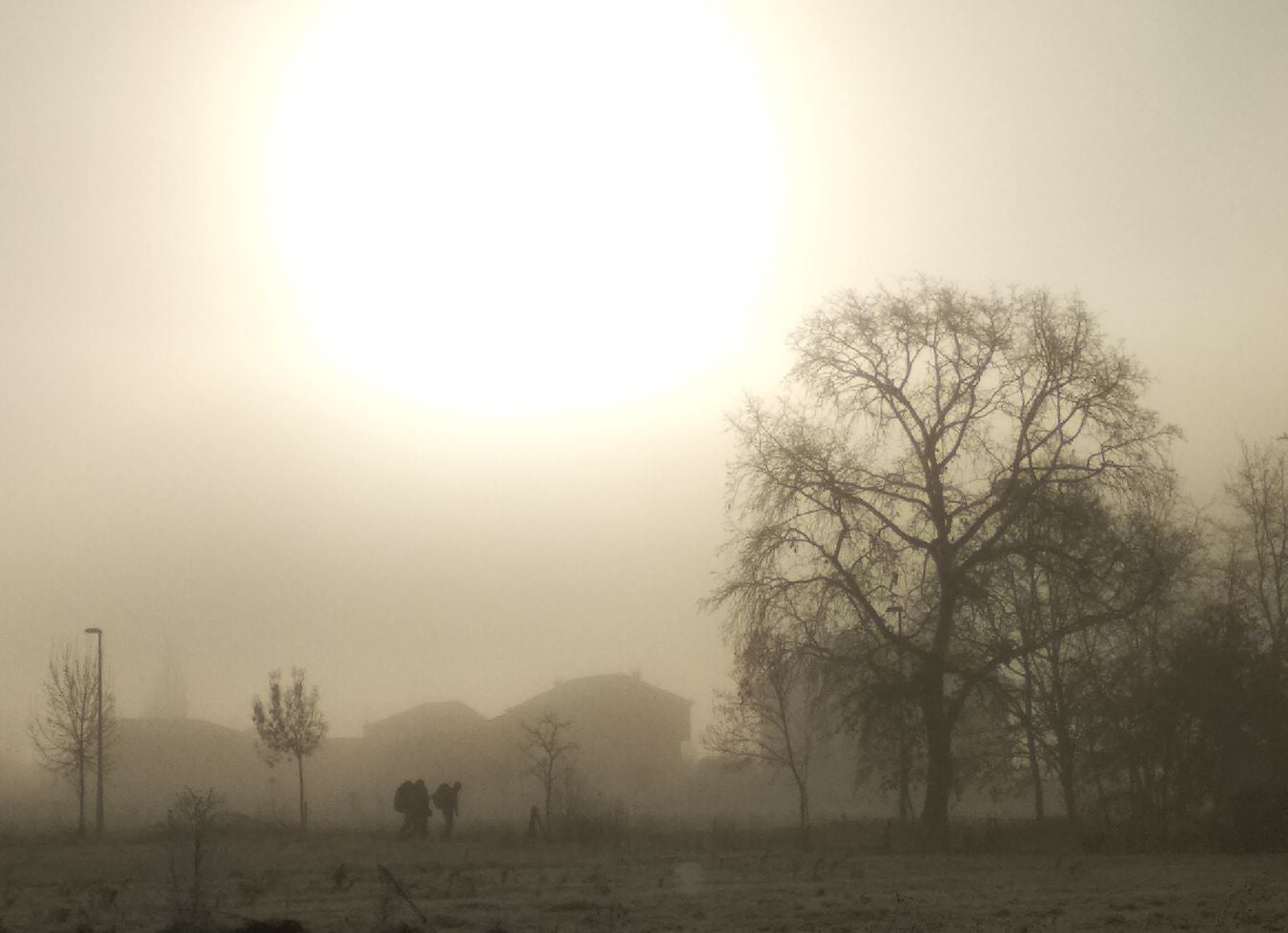Niebla, frío y helada en el Bierzo