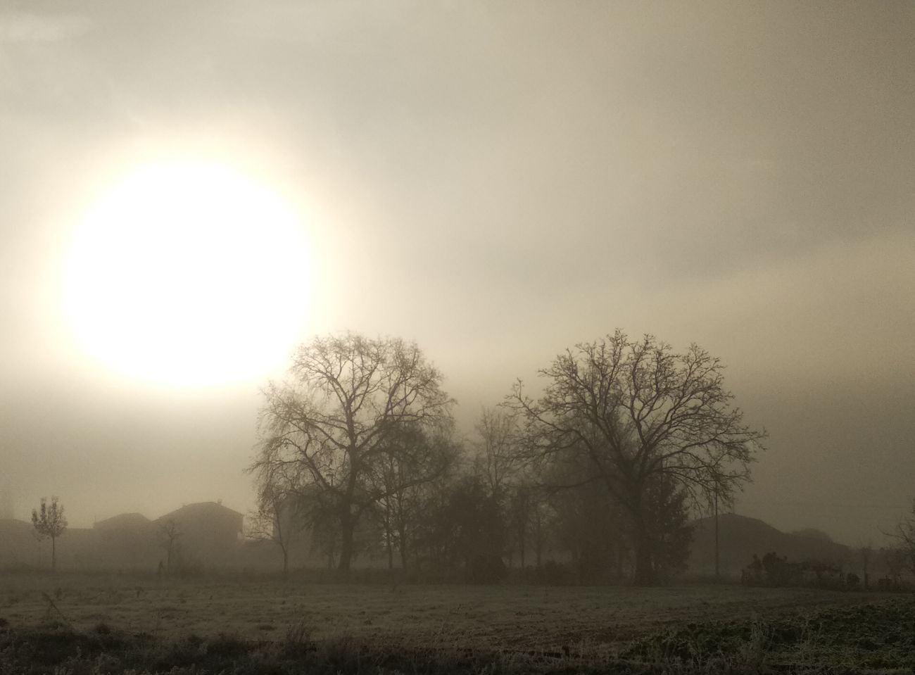 Niebla, frío y helada en el Bierzo