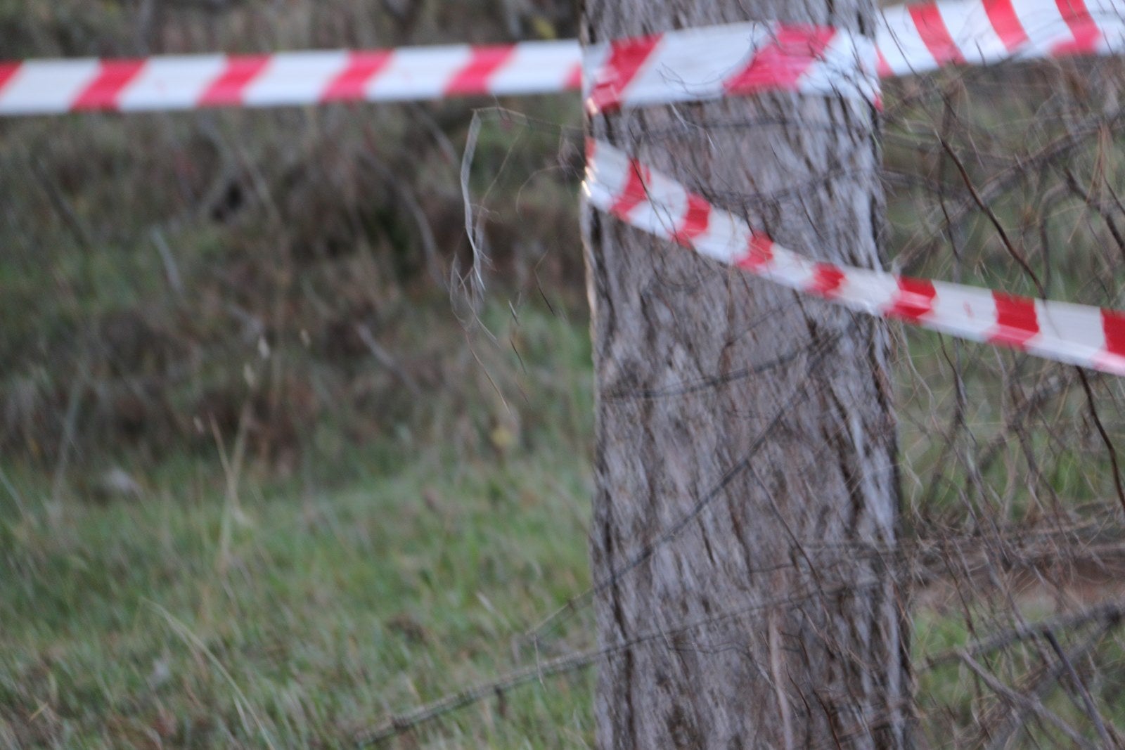 Imágenes de la llegada de la Transcandamia 2019