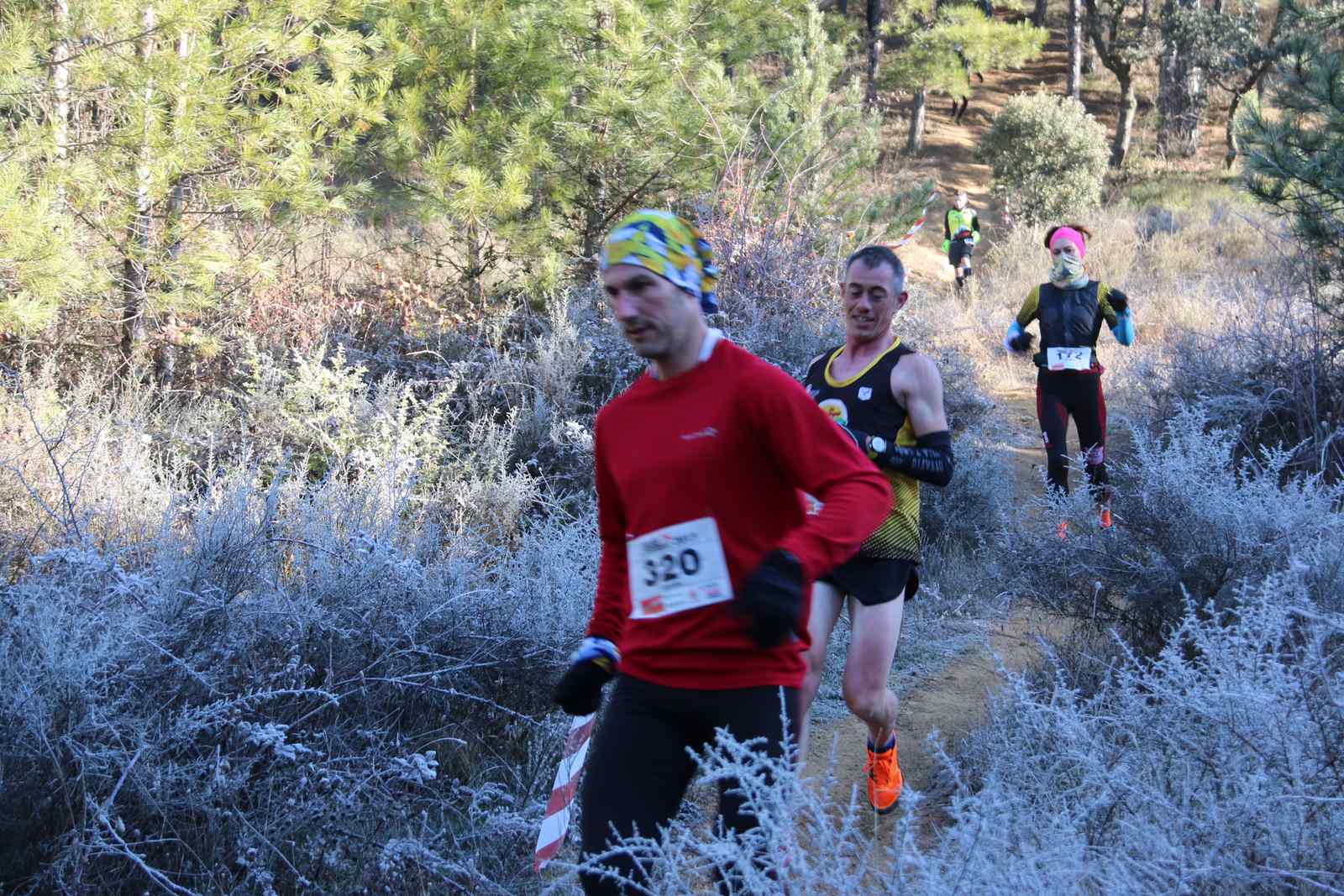 Imágenes del recorrido de la Transcandamia 2019 - segunda parte