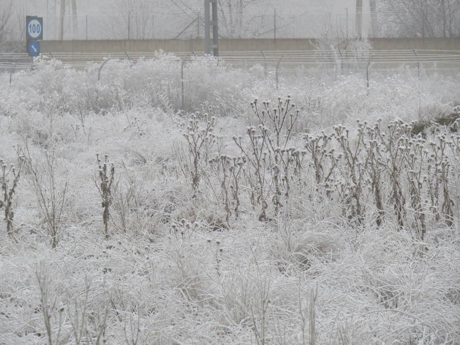 Fotos: Imágenes de la helada en León
