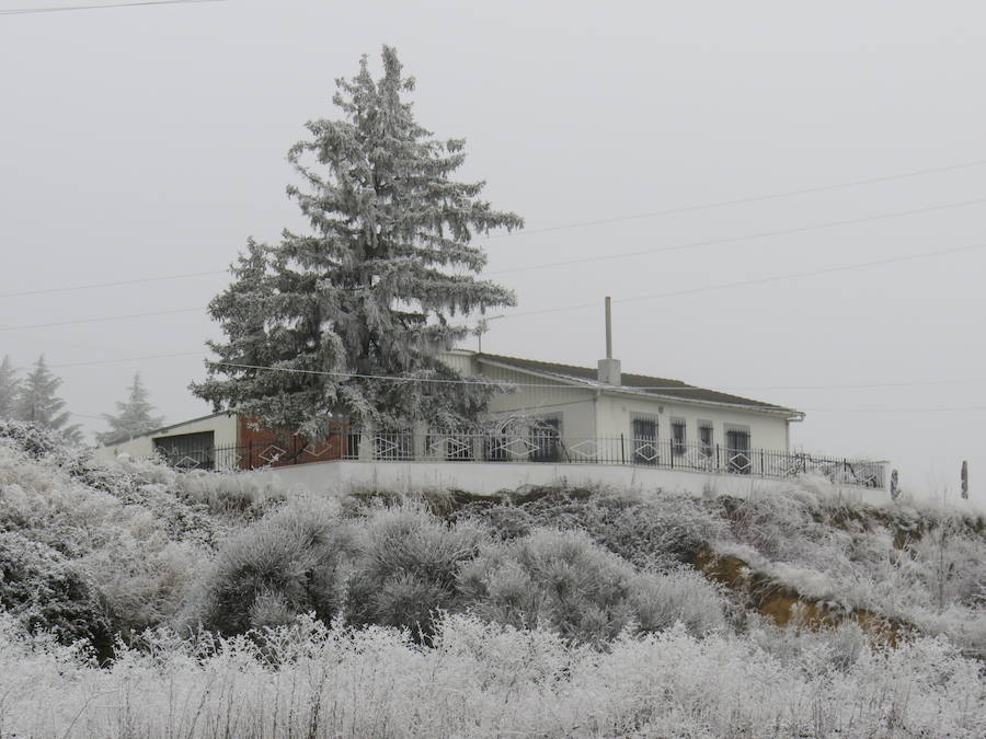 Fotos: Imágenes de la helada en León