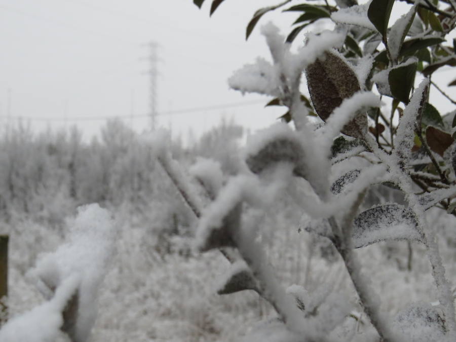 Fotos: Imágenes de la helada en León