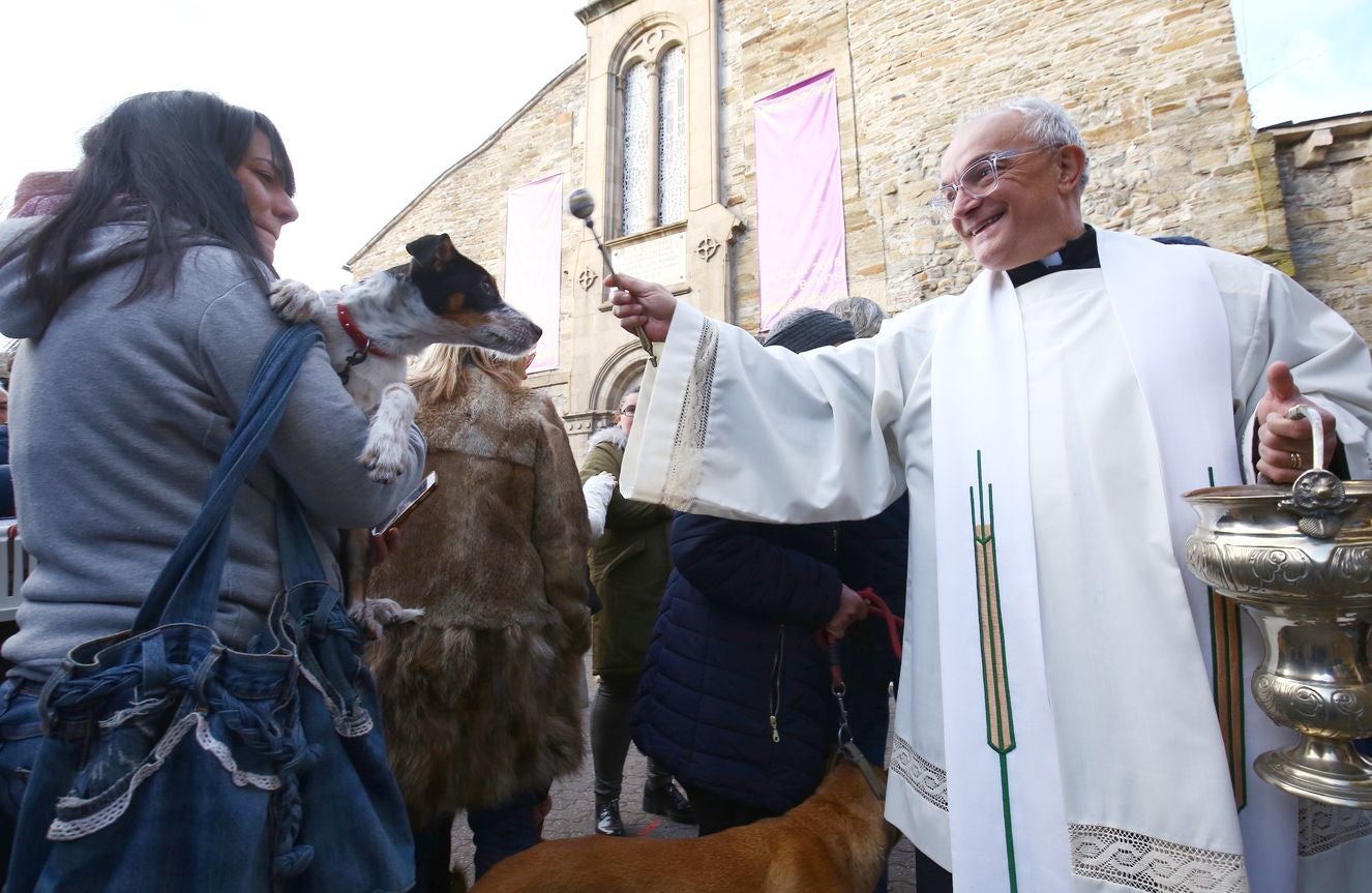 Tradicional bendición de animales por la festividad de San Antón en Cacabelos