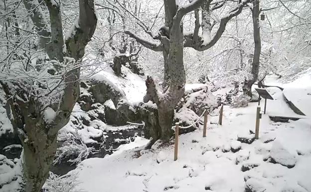 Nieve en el Faedo de Ciñera.