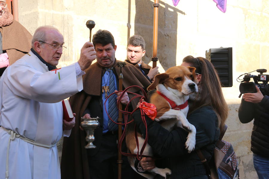Decenas de leoneses se encomiendan a San Antón para preservar la salud de sus mascotas en un tradicional festejo donde los perros se convierten en los verdaderos reyes de León 