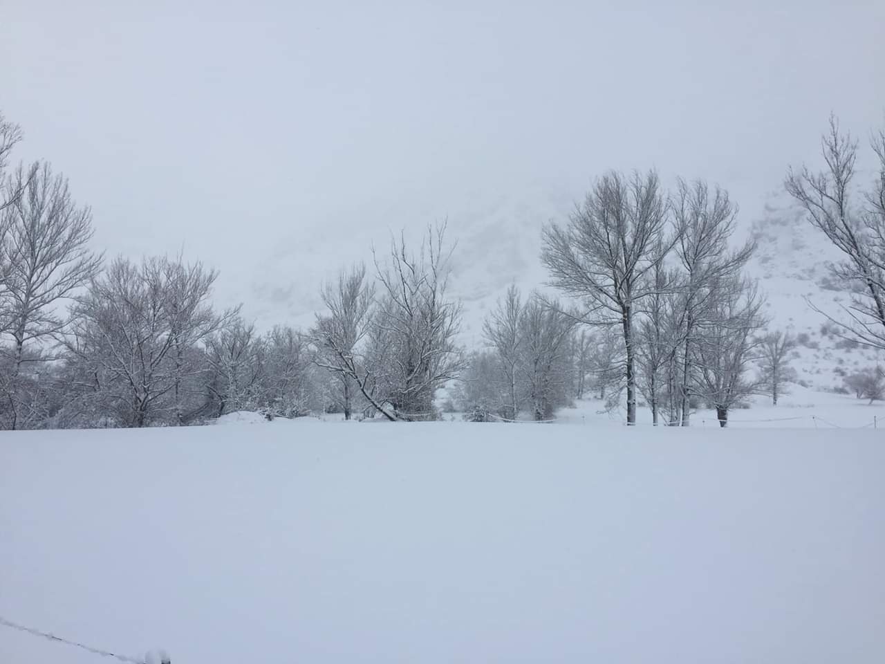 León estará este martes y miércoles en alerta naranja por intensas nevadas, según Aemet | La cota de nieve desciende por debajo de los 700 metros y la previsión de nevadas es del «cien por cien» | En la zona norte los espesores de nieve llegarán a los 30 centímetros