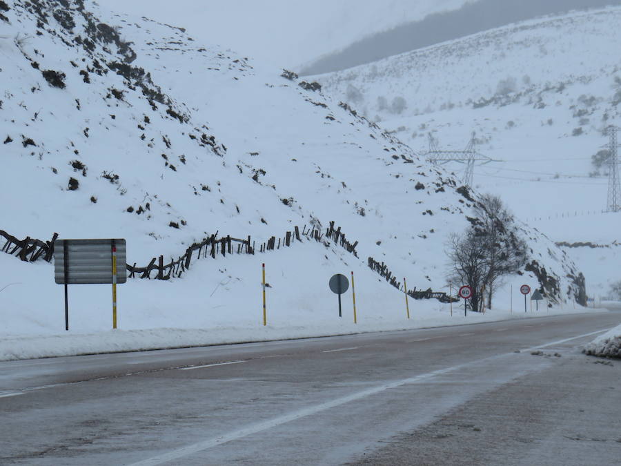 Fotos: León, bajo la nieve... y la lluvia