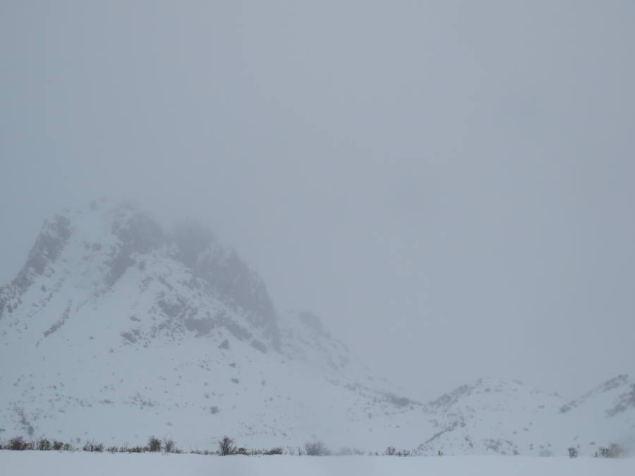 Fotos: León, bajo la nieve... y la lluvia