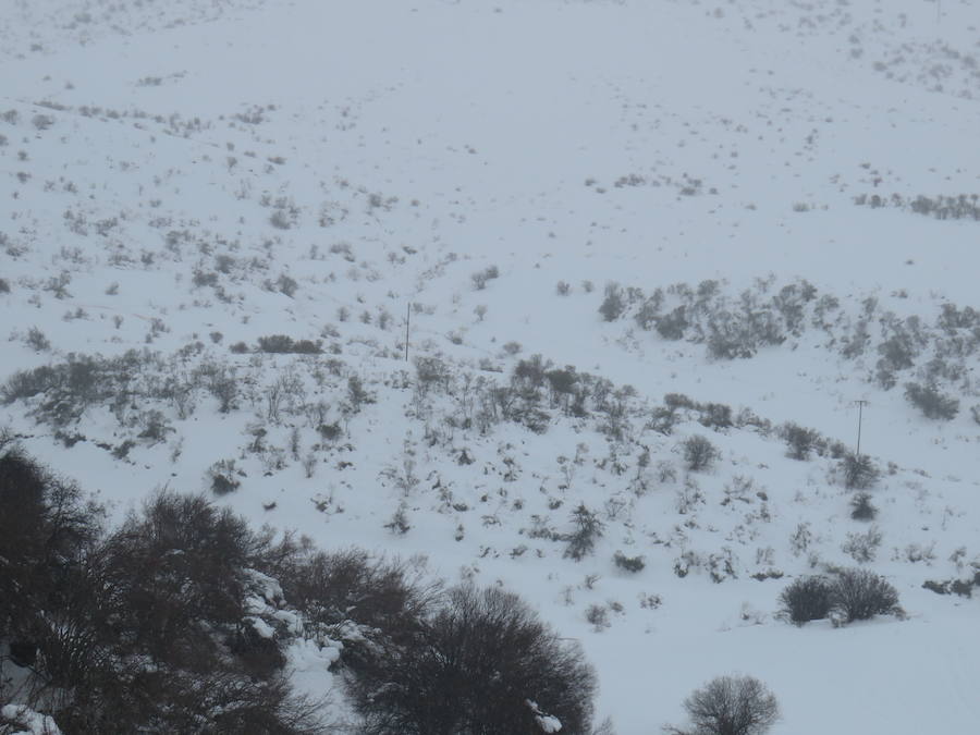 Fotos: León, bajo la nieve... y la lluvia