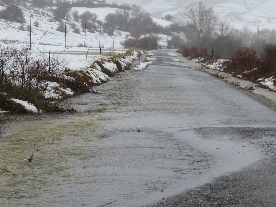 Fotos: León, bajo la nieve... y la lluvia
