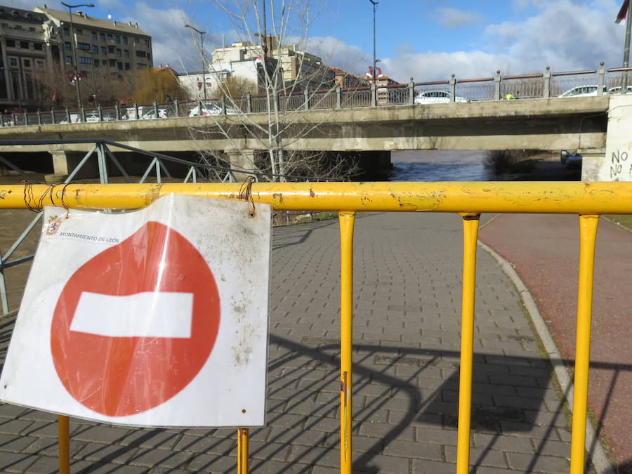 La credida del río Bernesga a su paso por la capital ha obligado al cierre de las pasarelas