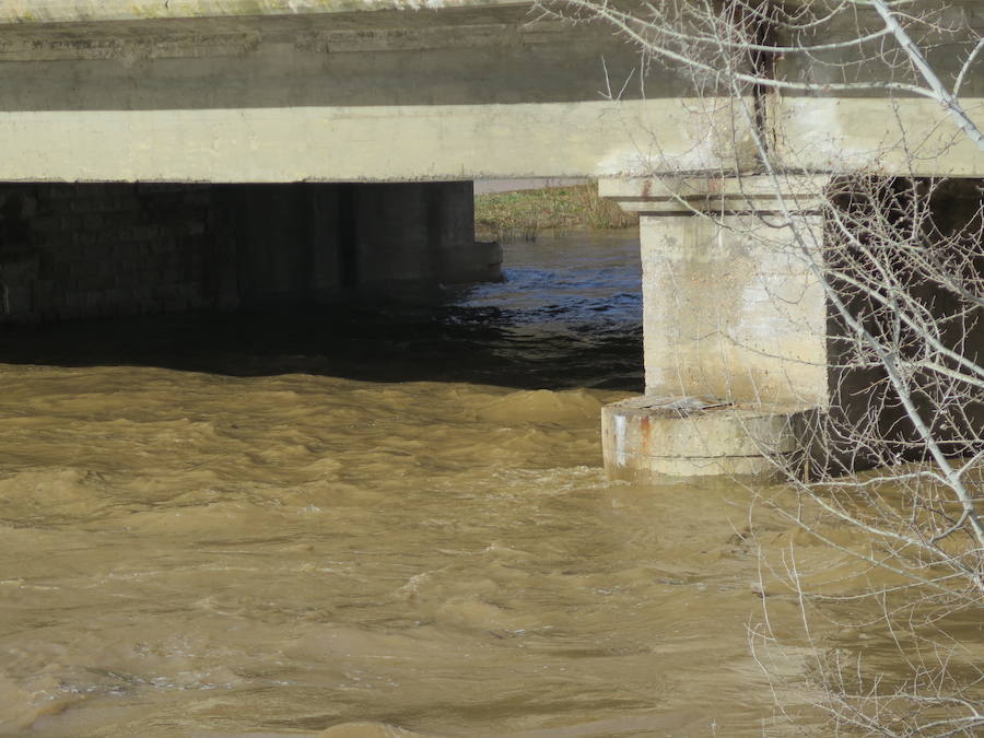 La credida del río Bernesga a su paso por la capital ha obligado al cierre de las pasarelas