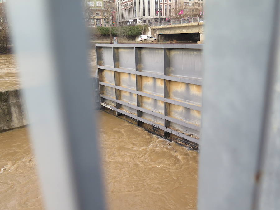 La credida del río Bernesga a su paso por la capital ha obligado al cierre de las pasarelas