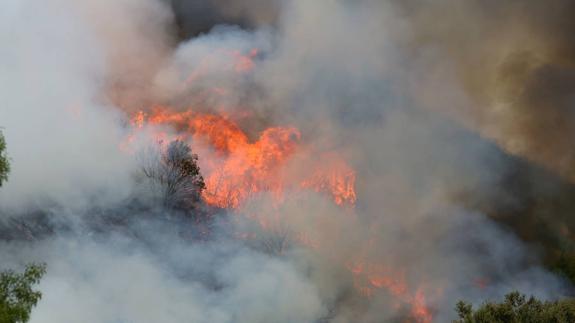 Vista de un incendio en la provincia. 