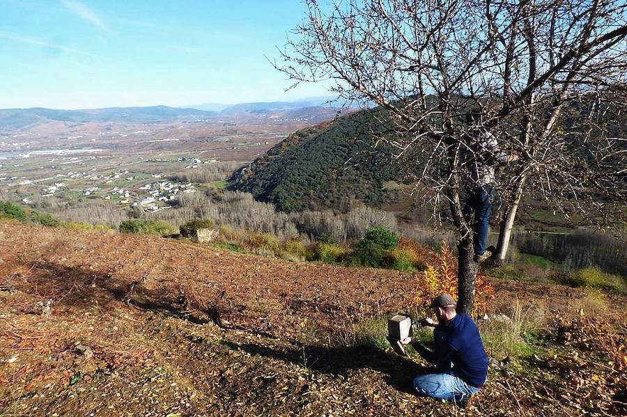 El Congreso Internacional de Viticultura que acogerá Corullón en marzo supone el inicio de la segunda etapa de Granja Cando, el espacio dependiente de la bodega Descendientes de J. Palacios