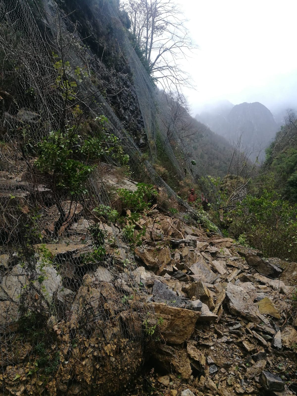 Fotos: Imágenes del argayo que mantiene cortado el desfiladero de los Beyos