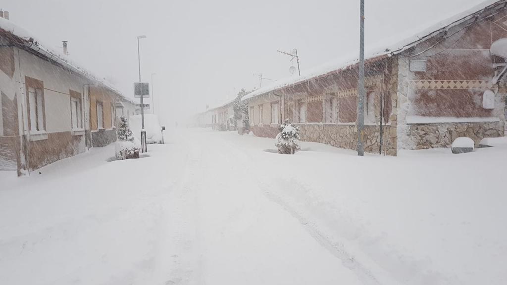 Fotos: La nieve tiñe de blanco la provincia